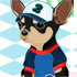 Animal Sports Fan Dress Up Game