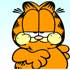 Feed Garfield