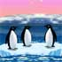 Penguin Game