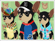 Pet Dog Cafe Song